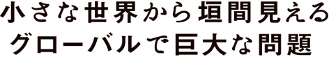 小さな世界から垣間見える　グローバルで巨大な問題